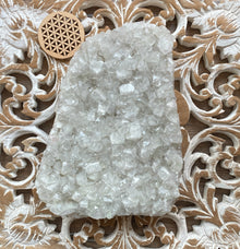  Apophyllit Cluster